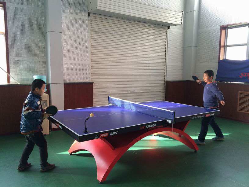 重庆乒乓球训练基地